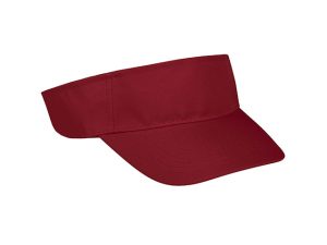 Basic Sun Visor