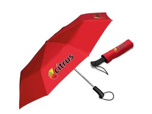 Whimsical Auto-Open Compact Umbrella