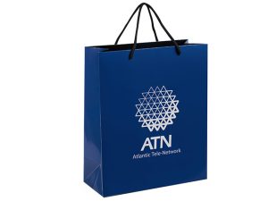 NIB_Altitude-Dazzle-Maxi-Paper-Gift-Bag-PDCG72S-DFFKT-1