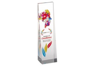 Altitude Hubris Award