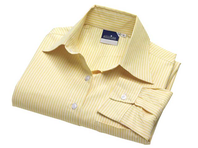 Ladies Long Sleeve Drew Shirt - Image 4