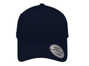 Pro Style Cap