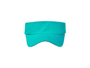 Sunvisor