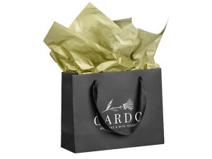 Altitude Ritz Mini Paper Gift Bag