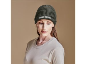 Arctic Beanie