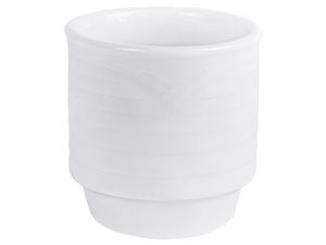 Arctic White Egg Cup