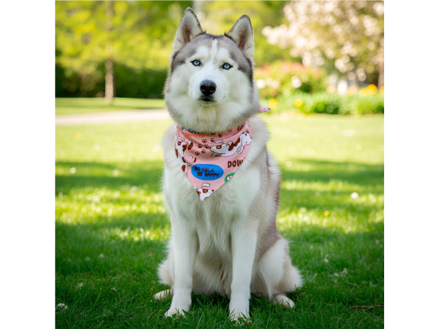 Hoppla Bosco Large Polyester Dog Bandana - Image 2