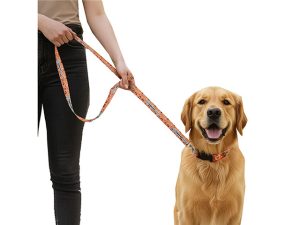 Hoppla Buddy Polyester Dog Leash